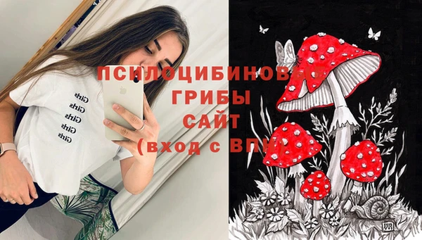 ГАЛЛЮЦИНОГЕННЫЕ ГРИБЫ Балахна