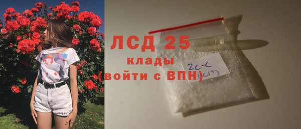 ГАЛЛЮЦИНОГЕННЫЕ ГРИБЫ Балахна