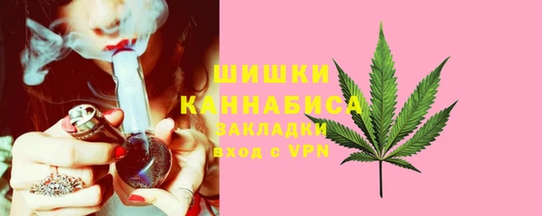 ГАЛЛЮЦИНОГЕННЫЕ ГРИБЫ Балахна